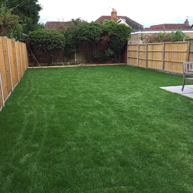 new lawn laid in ashford